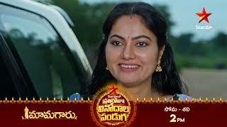 Mamagaru - Promo | 22nd Oct 2024 | Star Maa Serials | Mon-Sat at 2 PM | Star Maa