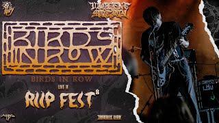 BIRDS IN ROW - LIVE @RIIP FEST 2024 - TOURS - 4K - [FULL SET - MULTI CAM] 05/07/2024