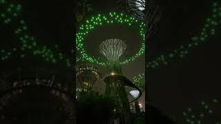 Garden by the bay Singapore ~ Beauty of Singapore 