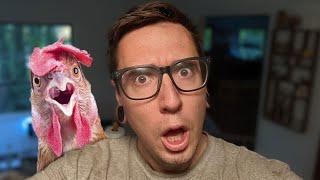 WHO DO YOU THINK YOU ARE?! A Re-introduction to Old Redding Farm