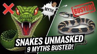 Snakes Unmasked: 9 Myths Busted! #SnakeFacts #MythBusted #ReptileReality
