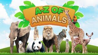 A-Z of Animals by Oxbridge Baby