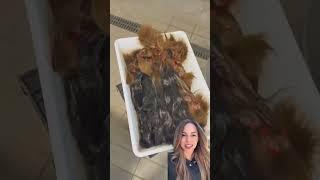 How Hair Extensions Are Made