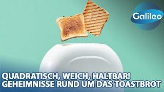 Gesund? Länger haltbar? Keine Kruste? "Galileo" schaut sich das Toastbrot genauer an!