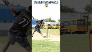 Bowled by a Perfect Yorker  #shorts #shortvideo #youtubeshorts