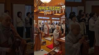  깊은 산사에서의 참회, 자비도량참법을 만나다 #shorts #자비도량참법 #참회기도 깊은 산사에서의 참회, 자비도량참법을 만나다 #shorts #자비도량참법 #참회기도