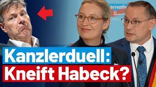 Alice Weidel macht sich über Habeck lustig!   Presseerklärung der AfD-Fraktionsvorsitzenden