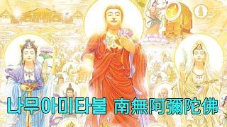 나무아미타불 염불 마음이 편안해지는 여성 창송판 8시간 南無阿彌陀佛聖號 一聲佛號一聲心 8小時版 | 불교명상음악