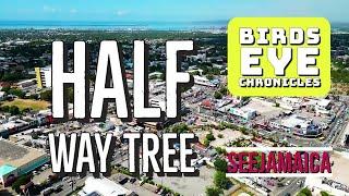 Half Way Tree: Kingston's Lively Hub That Never Sleeps