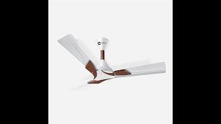 Orient Electric Wendy 1200mm Decorative Ceiling Fan | 16 Pole Strong Copper Motor Pearl White/Walnut