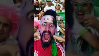 الفرق بين الجزائر و قطر في المدرجات  #shorts #كأس_العرب