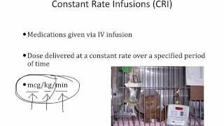 IV fluids, Veterinary Pharmacology
