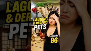 Pet Fails Turned To Hilarious Art #funny #funnyanimals #fails