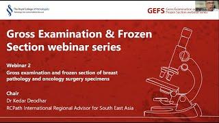 Gross examination and frozen section of breast pathology and oncology surgery specimens