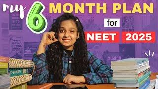 My last 6 Months Plan for NEET 2025 | Target - 700+ 