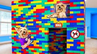 I built a GIANT LEGO house for the ANGRY DOG!