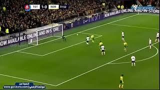 Tottenham vs Norwich City | Drmic Goal | Emirates FA Cup 19/20