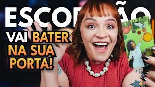 ESCORPIÃO VAI ACONTECER A QUALQUER MOMENTO! ATÉ O INÍCIO DE NOVEMBRO! JÁ PODE COMEMORAR!