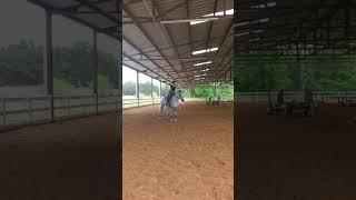 Horse Riding with Frankie PLF Equestrian #canter #pony #horseriding #equestrianlifestyle