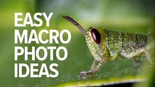 Simple and Easy Macro Photography Ideas