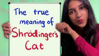 Most people don't get Schrodinger's Cat (including you?)