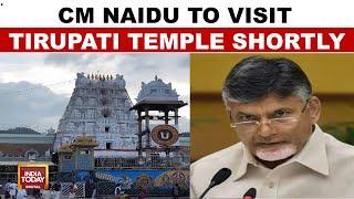 Tirupati Temple News: Chandrababu Naidu To Visit Tirupati After Deadly Stampede Claims Six Lives