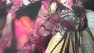 Как сшить юбку с фалдами от линии талии.How to sew a skirt with folds from the waist line.