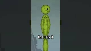 The Strangest Cursed Melon Playground Mods