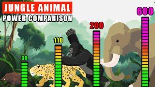 Jungle Animals Power Comparison | Animal Animation