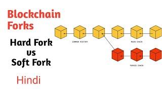 Blockchain Forks