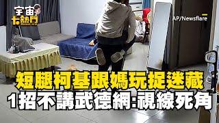 短腿柯基跟媽玩捉迷藏！她1招不講武德網喊：視線死角