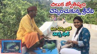 శ్రీదేవి గురించి చిలుక చెప్పిన నిజాలు | చిలుక జోస్యం | Anchor Sridevi | Sun8 TV