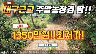 전국 싼땅매매 단돈1350만원~구거국유지접 주말농장 대구근교 전체 생산관리지역 최저가! 경북청도 땅매매 세상사는 부동산