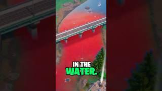 STAY In The Water.