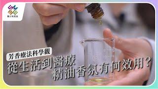 從生活到醫療，精油香氛有何效用？｜芳香療法科學觀｜公視 #獨立特派員 第793集 20230322