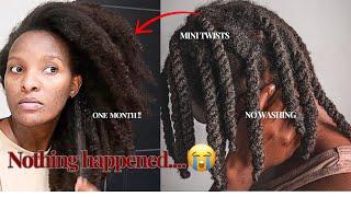 I Didn't Wash My Hair And Kept It In Mini twists For a Month And Nothing happened