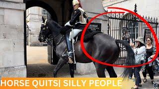 HORSE QUITS BUT SILLY PEOPLE DON’T KNOW WHEN TO QUIT!