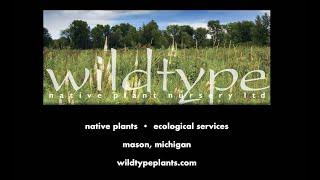 Reflections on the Past, Present and Future Use of Native Plants in the Landscape - Bill Schneider