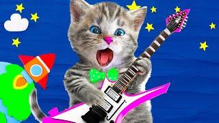 LITTLE KITTEN ADVENTURE AND SUPER SONGS - SUPER FUN EDUCATIONAL SONGS - LEARN NEW SONGS FOR KIDS