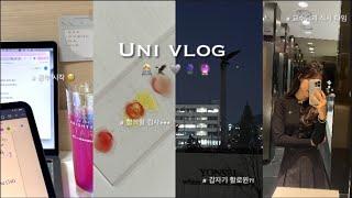 university student in Korea | Yonsei university