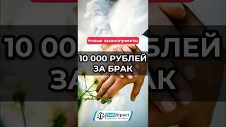 10 000 рублей за брак (Новые законопроекты) #забюрист #юрист #ГосДума #законопроект #новость