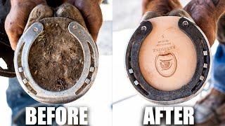 Full Horse Hoof Restoration - FARRIER ASMR (Satisfying)