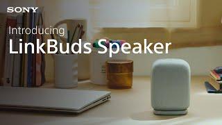 Introducing the Sony LinkBuds Speaker