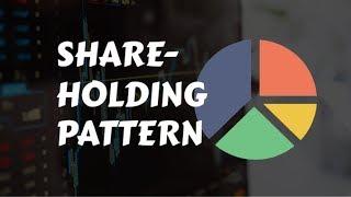 How to find the Shareholding Pattern of a Company?