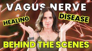 Warning: Vagus Nerve and Hashimoto's connection