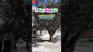  더브로드 (The Broad) LA에서 만나는 미술관! 현대미술의 성지! #더브로드 #TheBroad #LA미술관 #현대미술 #LA핫플 #미술관데이트 #LA여행추천