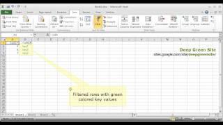 MS Excel 2010 / How to filter by color (by formatting)