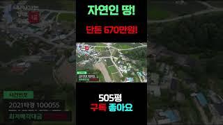 이런땅이 단돈 600만원대?! #shorts 자연인 오지땅 추천  -찾경공(찾아가는경매공매전문)