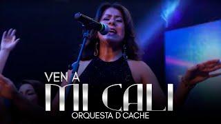 Francia Elena y Orquesta Femenina D´Cache - Ven A Mi Cali |