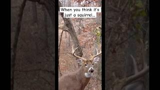 It’s hard to tell‍️ #viralvideo #shortsviral #shorts #short #funny #hunting #shortsviral #fyp